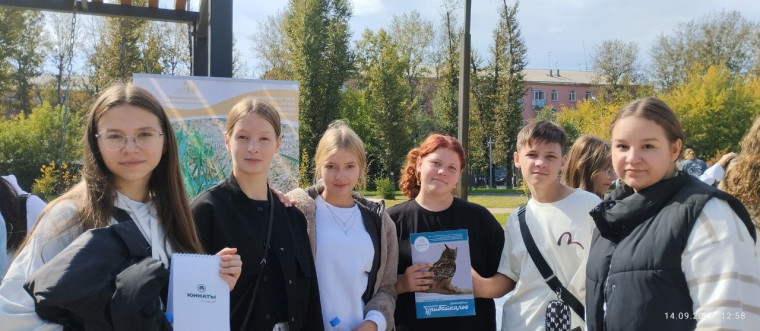 "Экологический фестиваль".