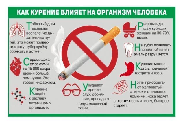 Интерактивная игра «Ты крут, когда не куришь!».